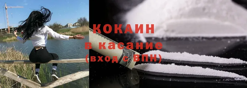 Cocaine Эквадор  цена наркотик  Лукоянов 