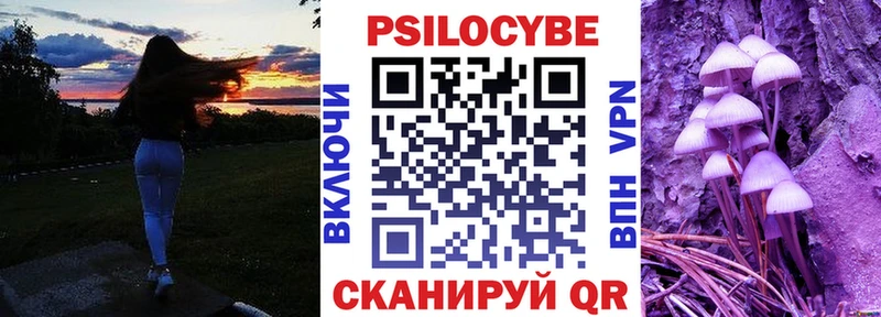 закладки  Лукоянов  Галлюциногенные грибы мухоморы 
